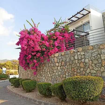 The Phoenix -seaview Penthouse With Private Terrace In Palm Bay View *