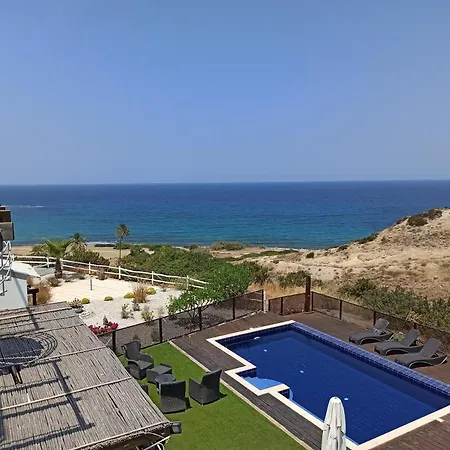 Daire The Phoenix -seaview Penthouse With Private Terrace In Palm Bay View